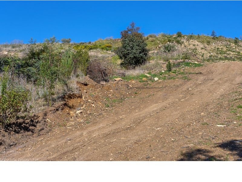 31 Joshua Street, Mornington TAS 7018