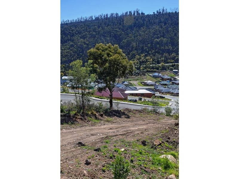 31 Joshua Street, Mornington TAS 7018