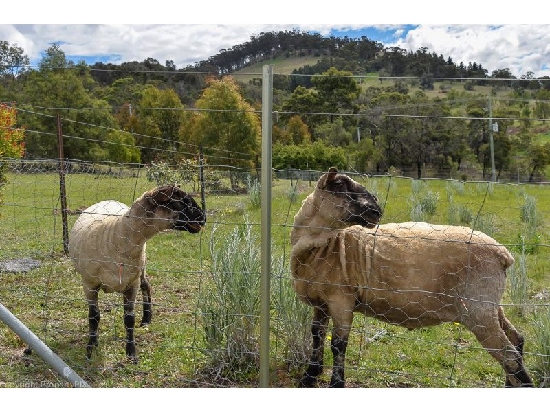 49 Black Brush Rd, Mangalore TAS 7030