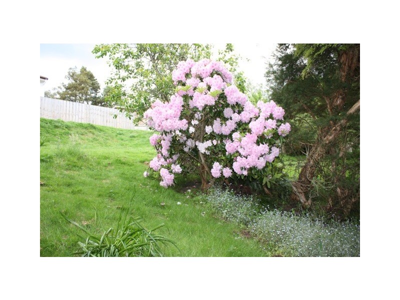 Lot 2/178 Waterworks Road, Dynnyrne TAS 7005