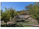 28 Sharps Rd, Lenah Valley TAS 7008