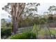 12 Castlereagh Court, Lenah Valley TAS 7008