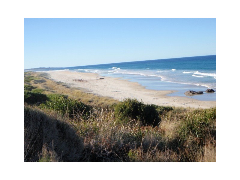 ” Piano Coves”, St Helens TAS 7216