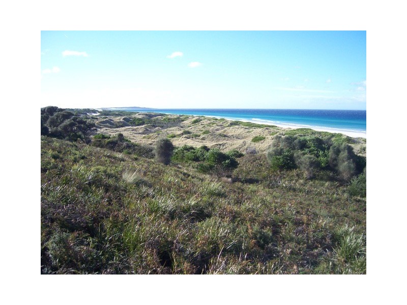 ” Piano Coves”, St Helens TAS 7216