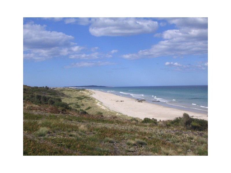 ” Piano Coves”, St Helens TAS 7216