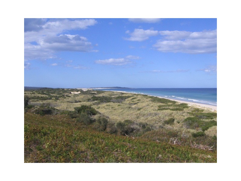 ” Piano Coves”, St Helens TAS 7216