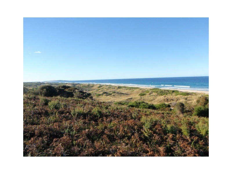 ” Piano Coves”, St Helens TAS 7216