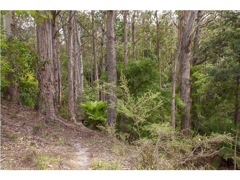 63 Jubilee Road, South Hobart TAS 7004