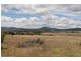 64 Middle Tea Tree Road, Richmond TAS 7025
