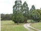 112 Ansons Bay Road, St Helens TAS 7216
