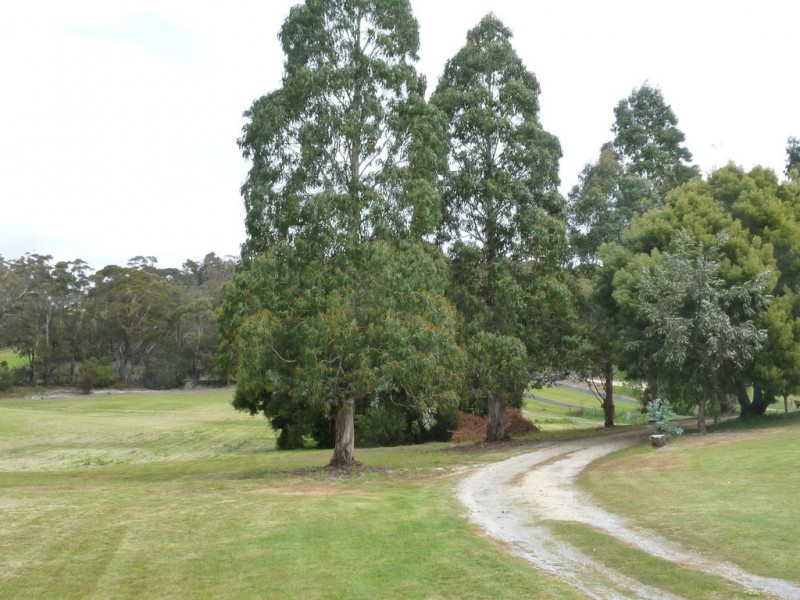 112 Ansons Bay Road, St Helens TAS 7216