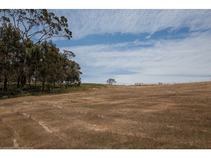 41 Cahill Place, Acton Park TAS 7170