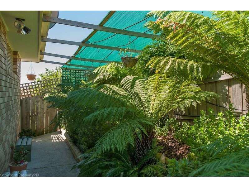 9 Nielson Drive, Montrose TAS 7010