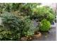 1 Roope Street, New Town TAS 7008