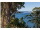 21 Harveytown Road, Dover TAS 7117