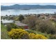 337 Churchill Avenue, Sandy Bay TAS 7005