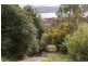 337 Churchill Avenue, Sandy Bay TAS 7005