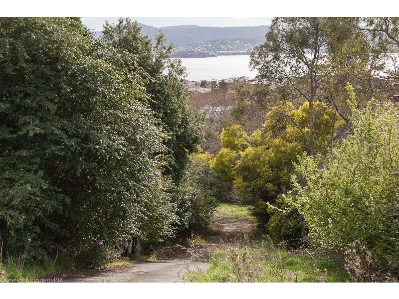 337 Churchill Avenue, Sandy Bay TAS 7005