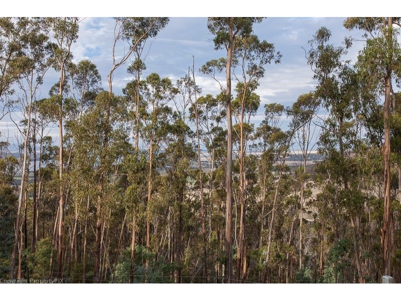 87 Thomas Street, Dulcot TAS 7025