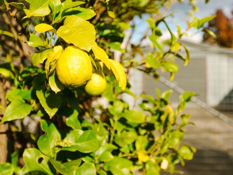 59 Hill Street, Bellerive TAS 7018