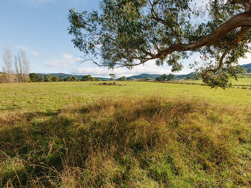 45 Esplanade Road, Cygnet TAS 7112