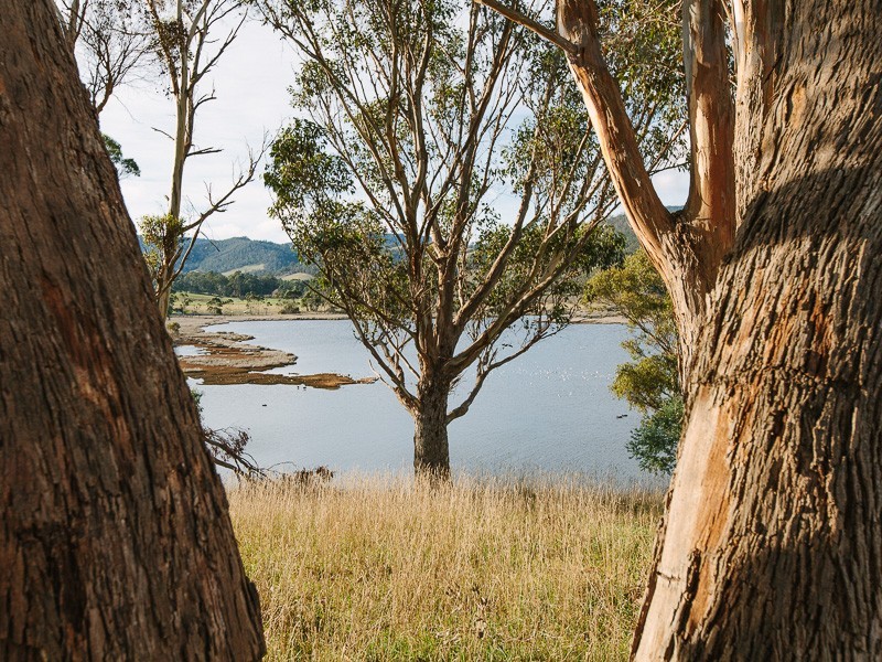 45 Esplanade Road, Cygnet TAS 7112