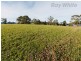45 Esplanade Road, Cygnet TAS 7112