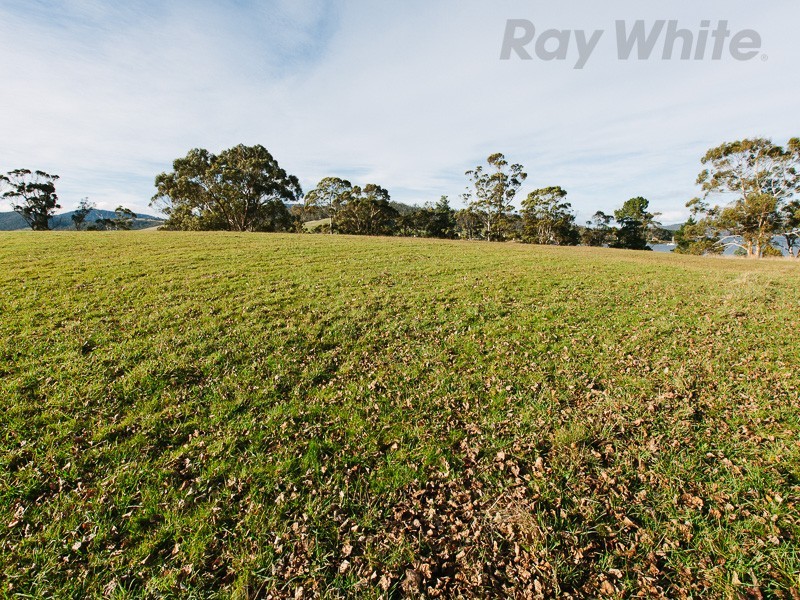 45 Esplanade Road, Cygnet TAS 7112