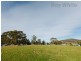 45 Esplanade Road, Cygnet TAS 7112