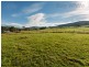 45 Esplanade Road, Cygnet TAS 7112