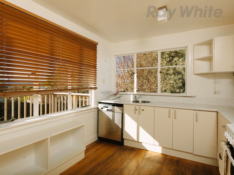 141 Molle Street, West Hobart TAS 7000