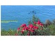 29 Carlton Bluff Road, Primrose Sands TAS 7173
