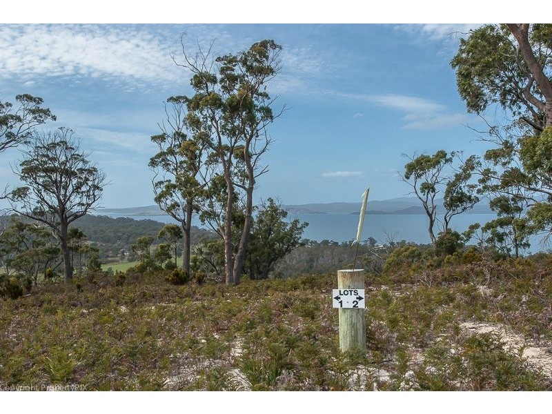 Lot 1-18 Gwandalan Road, Saltwater River TAS 7186