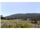 Lot 2 Ferntree Road, Eaglehawk Neck TAS 7179