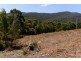 Lot 2 Ferntree Road, Eaglehawk Neck TAS 7179