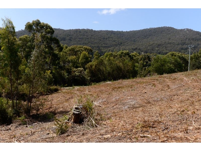 Lot 2 Ferntree Road, Eaglehawk Neck TAS 7179