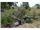 Lot 2 Ferntree Road, Eaglehawk Neck TAS 7179