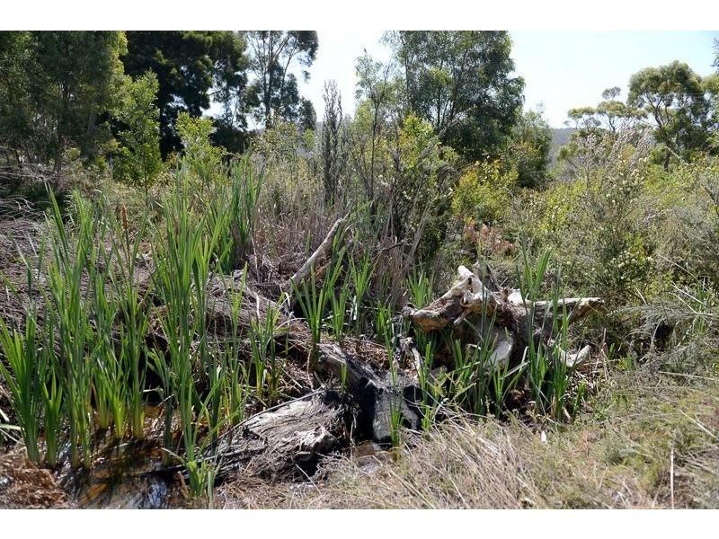 Lot 2 Ferntree Road, Eaglehawk Neck TAS 7179