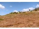 Lot 2 Ferntree Road, Eaglehawk Neck TAS 7179