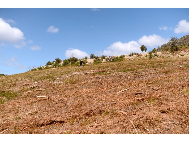 Lot 2 Ferntree Road, Eaglehawk Neck TAS 7179