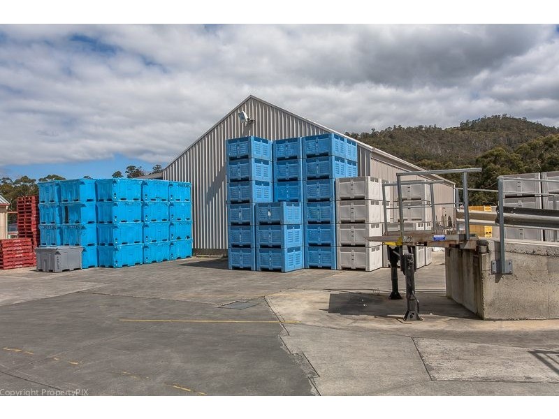 Huon Valley Seafoods, Huonville TAS 7109
