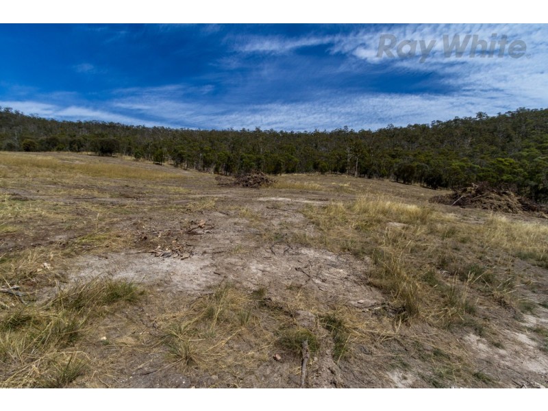 Lot 1/ 90 Poulters Road, New Norfolk TAS 7140
