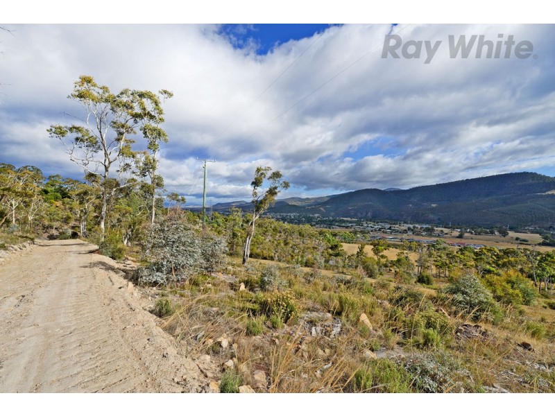 Lot 1/ 90 Poulters Road, New Norfolk TAS 7140