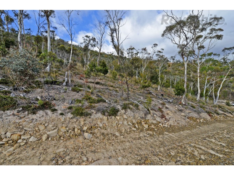 Lot 1/ 90 Poulters Road, New Norfolk TAS 7140