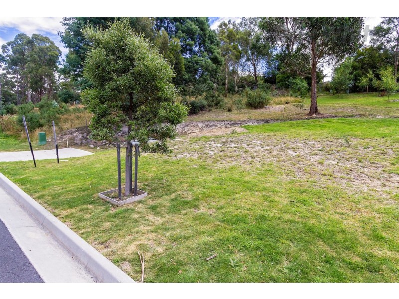6 Woodlyn Court, South Hobart TAS 7004