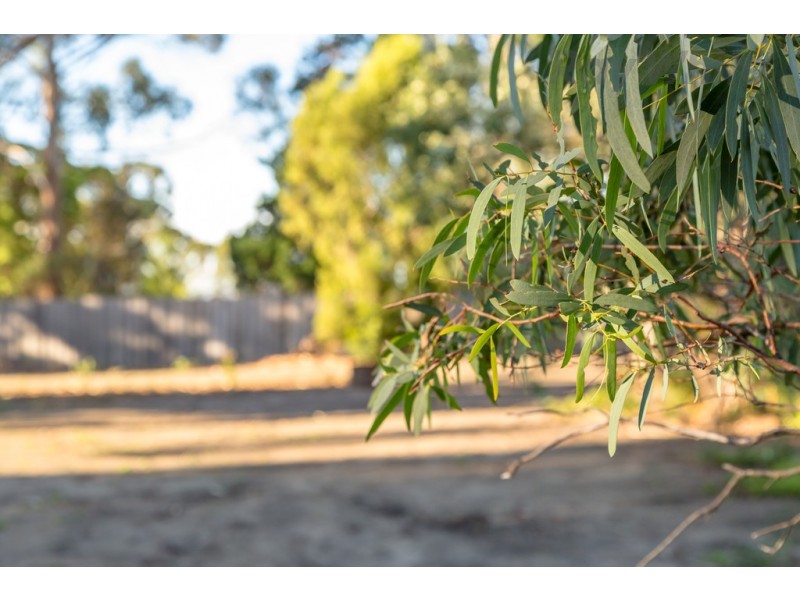 74A Burwood Drive, Blackmans Bay TAS 7052