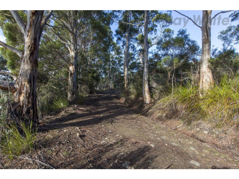 101 Devlyns Road, Birchs Bay TAS 7162
