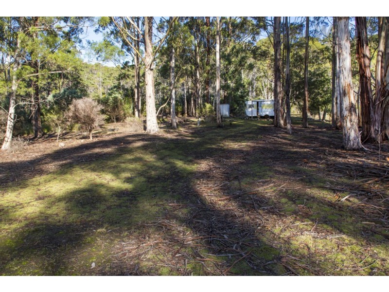 101 Devlyns Road, Birchs Bay TAS 7162