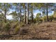 101 Devlyns Road, Birchs Bay TAS 7162