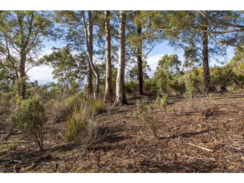 101 Devlyns Road, Birchs Bay TAS 7162